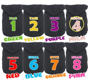 _SiP10{11/10 23:59܂Ł^y  H~ ̕ ẑO ubNg[i[yhbOEFA ybg _bNX gCv[h `  }`[Y ^xfBz(O/F/