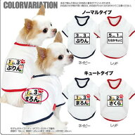 【犬服 犬 服 犬の服 名入れ】愛犬のお名前入り わんこ体操服 和柄【ドッグウェア ペット チワワ ダック…