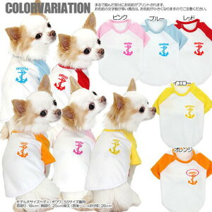 _11/11X^[gSALE^y  ̕ ẑO 5AJ[ OyhbOEFA gCv[h ` _bNX  pO ^xfBz(O/F/RA/L/)