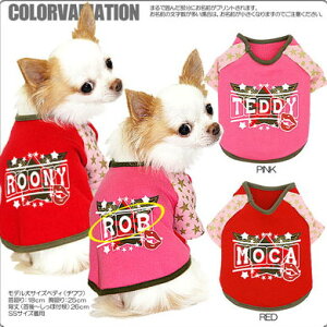 _SiP10{11/3 23:59܂Ł20N^y  ̕ ẑO bNX^[ O [GI]yhbOEFA gCv[h ` _bNX  Č ^xfBz(O/F/RA/L/)