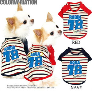 _SiP5{11/8 23:59܂Ł^y  ̕ ẑO gsJp_CX O yhbOEFA wԍ _bNX gCv[h `  Čzyvz