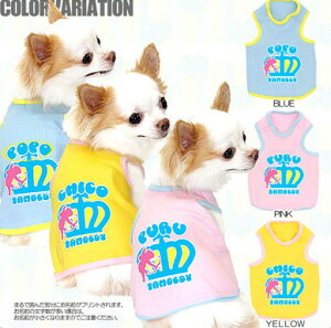 _P5{11/30 23:59܂Ł^y  ̕ ẑO ^xfBNE ^Ngbv [GI]yhbOEFA  j̎q ̎q ` _bNX gCv[h  |