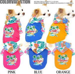 _SiP5{11/8 23:59܂Ł^y  ̕ ẑO T}[oP[V Op[J[yhbOEFA nCA gCv[h ` _bNX  Č ^x