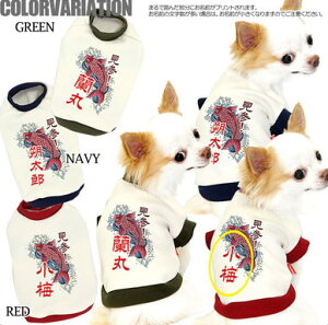_H̐V쑱X^y  ̕ H ~p ẑO ^o ^pyhbOEFA ybg a ps[ gCv[h ` _bNX  [L[ ^xf