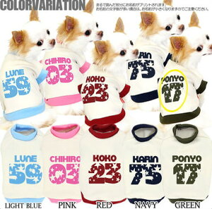 _SiP10{11/6 23:59܂Ł^y  ̕ H ~p ẑO t@bVX^[ ^pyhbOEFA wԍ  gCv[h ` _bNX  V[Y