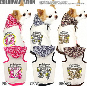 _P5{11/23 23:59܂Ł^y  H~ ̕ ẑO Ip[hp[eByhbOEFA wԍ qE ` _bNX gCv[h  |jA ^xf