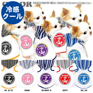 _SiP5{12/8 23:59܂Ł^y ĕ ̕  tpzЂ ڐG⊴f N[ ̂O } p[J[ [GI]yhbOEFA gCv[h ` _bNX  