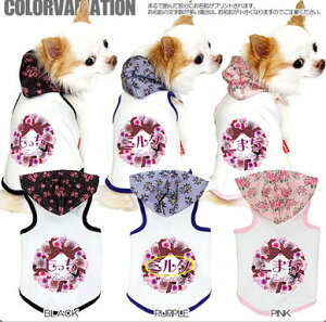 _ő1000~N[|12/11 23:59܂Ł^y  ̕ ẑO [Yo[ p[J[yhbOEFA ybg [X ps[ ^Cj[ gCv[h ` _bNX 