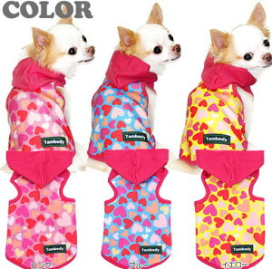 _11/11X^[gSALE^y  H~ ̕zun[g p[J[yhbOEFA ΍ gCv[h ` _bNX ^xfB 킢 ps ^xfBz