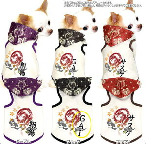 _SiP10{11/6 23:59܂Ł^y  ̕ ẑO hSLO p[J[yhbOEFA ybg a ps[ gCv[h ` _bNX  [L[ ^x