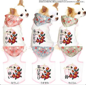 _SiP10{11/6 23:59܂Ł^y  ̕ ẑO ߒցi΂j p[J[yhbOEFA ybg a ps[ gCv[h ` _bNX  ViEU