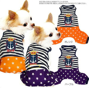 _P10{12/3 23:59܂Ł^y  ̕ ẑO {[_[X^[ ȂyhbOEFA ybg CJ j̎q p[X gCv[h ` _bNX  |