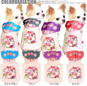 _SiP10{11/3 23:59܂Ł20N^y  ̕ ẑO  p[J[yhbOEFA ybg a ps[ _bNX gCv[h `  ViEU[ ^