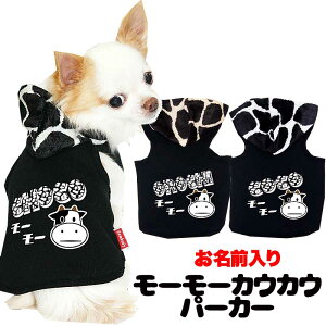 _11SALEJÒ^y  ̕ ẑO [[JEJE p[J[ yhbOEFA  ` _bNX gCv[h  [L[ ^xfBz(O/F/T