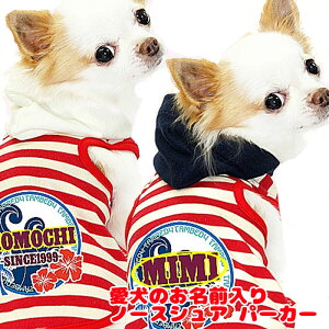 _SiP5{11/8 23:59܂Ł^y  ̕ ẑO m[XVA p[J[ [GI]yhbOEFA nCA j̎q ̎q ` _bNX gCv[h  Č ^