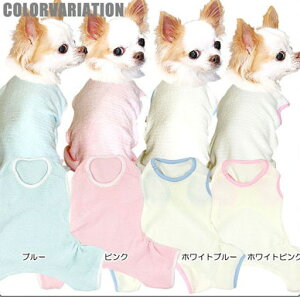 _4H聚20%OFFN[|^y  ̕zpC p[XyhbOEFA ΍ ^In ` _bNX gCv[h ^xfB 킢 ViEU[z