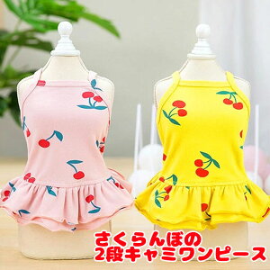 _11/11X^[gSALE^y ĕ ̕ tpzڂ2iL~s[XyhbOEFA ybg `F[ AEgbg _bNX gCv[h `  ^xfB 