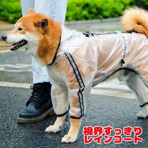 _SiP10{11/3 23:59܂Ł20N^y  ̕zV[X[CR[gyhbOEFA H Jbp J ~J U ` _bNX gCv[h ^xfB zFڂ肪