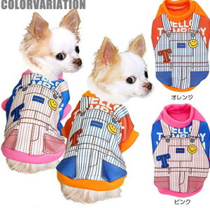 _SiP5{11/8 23:59܂Ł^y  ̕z^xfBI[Vc (3D)yhbOEFA  ` _bNX gCv[h  }`[Y ^xfBz