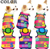 楽天市場】犬服 カラフルの通販
