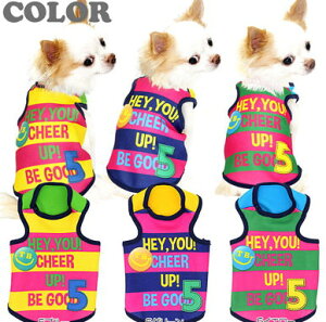 _SiP5{11/8 23:59܂Ł^y  ̕zTBJt5 ^Ngbv(3D)yhbOEFA {[_[ gCv[h ` _bNX 킢 Č ^xfBz