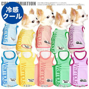 _20NFINALSALE^y ĕ ̕  tpzЂ ڐG⊴f N[ ̂O pX ^NgbvyhbOEFA gCv[h `  R[M[ 