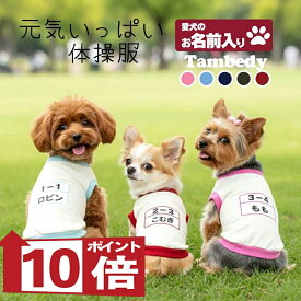 【犬服 犬 服 犬の服 秋服 冬服用 名入れ】愛犬のお名前入り 元気いっぱい体操服和柄【ドッグウェア 和柄 ダックス トイプードル チワワ おもしろ パグ タムベディ】(O/3/RI/H/)