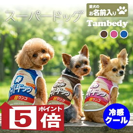【犬服 犬 服 犬の服 春服 夏服用 名入れ】ひんやり 接触冷感 クール 愛犬のお名前入り スーパードッグ シャツ【ドッグウェア アイスクリーム チワワ ダックス トイプードル おもしろい タムベディ 濡らす 冷たい 犬服夏用クール おしゃれ】(S/B/N/H/)