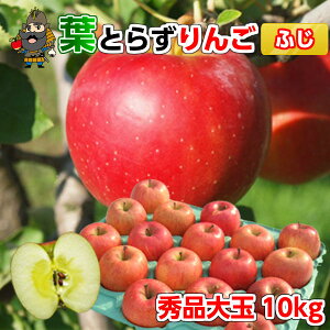  X  tƂ炸 Tӂ 10kgi28-32ʑOj Gi pN XY Yn  | yY tƂ炸 ʕ Mtg t[c  p S X