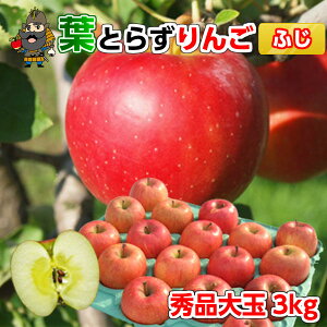  X  tƂ炸 Tӂ 3kgi7-9ʑOj Gi pN XY Yn  | yY tƂ炸 Mtg S ʕ X  p ь 