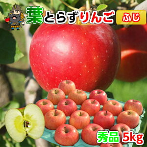  X  tƂ炸 Tӂ 5kgi20ʑOj Gi pN XY Yn  |yY XY p  Mtg j lߍ킹 tƂ炸 