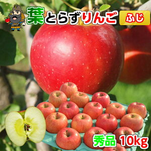  X  tƂ炸 Tӂ 10kgi32-36ʑOj Gi pN XY Yn  | yY p  Mtg lߍ킹 tƂ炸 ʕ S 