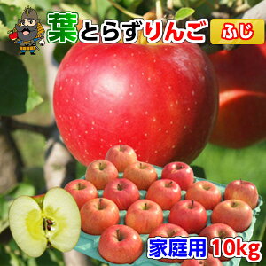  X  tƂ炸 Tӂ 10kgi36-40ʑOj ƒpNEXYEYnE 󂠂 10L | yY XY XY   ʕ k 