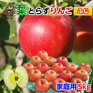  X  tƂ炸 Tӂ 5kgi18-20ʑOjƒpN XY Yn  | yY XY XY  Mtg tƂ炸  ʕ S X