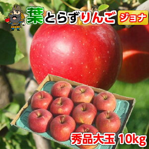 ߘa7NY X  tƂ炸 WiS[h 10kg 32ʑO Giʑp XY Yn | yY  p  Mtg  tƂ炸 ʕ i S 