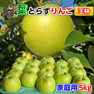  X  tƂ炸  5kgi20ʑOj ƒpN XY Yn  | yY XY ʕ  tƂ炸 n t[c  S XS 