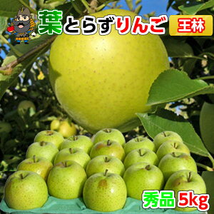  X  tƂ炸  5kgi20ʑOj Gi pN XY Yn  | XY yY  Mtg tƂ炸 p S X S ʕ 