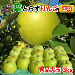  X  tƂ炸  3kgi9ʑOj Gi pN XY Yn  |yY XY p  S Mtg  tƂ炸 ʕ 