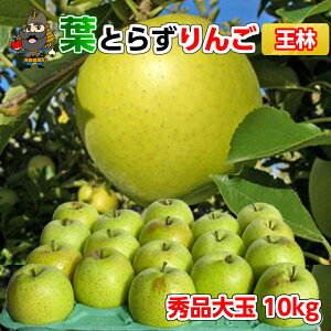  X  tƂ炸  10kgi32ʑOj Gi pN XY Yn  | XY yY Ε  Mtg tƂ炸 p S X 