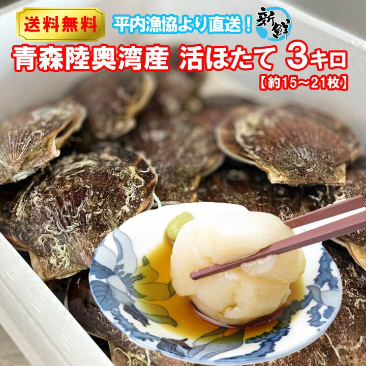 楽天市場 送料無料 活ほたて 青森陸奥湾 平内産 3キロ 平内漁協より直送 青森 お土産 ホタテ 殻付き お取り寄せグルメ 食べ物 お取り寄せ 土産 ギフト グルメ 活ホタテ 贈り物 東北 ほたて ホタテ貝 贈答用 ご当地 貝 海鮮 帆立 プレゼント ためのぶストア楽天市場店