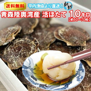 ق Xp Y 10L ̐璼  | X yY z^e kt XY  O Hו yY Mtg 蕨 z^eL p CN hV̓ 