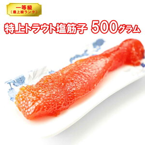 ؎q gEg  500g  | X yY 񂹃O Hו  yY Mtg j O 蕨 k p hV̓ v[g  n CN gEg