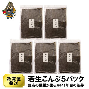 ᐶz ᐶ 40g×5Zbg | X yY  񂹃O yY k т̂ nO hV̓ v[g 