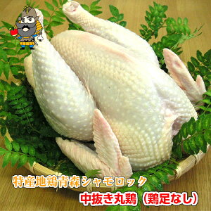 畨 R{ XVbN ی{1Hi{i݂jȂjⓀi | X yY n{ XY V bN VbN  O   {1H H n{  