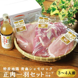 畨 XVbN 1HZbgiVbNX[vtj R{ R{ R{ | X yY n{ Mtg V bN  O { 1H VbN XY k Y 