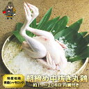丸鶏 中抜き 朝引き 1羽 約1.7kg 特産地鶏 青森シャモロック（ レバー 砂肝 ハツ の一羽分内臓付き）軍鶏 軍鶏鍋 軍鶏肉 ローストチキン | 青森 青森県産 お土産 ギフト 地鶏 シャモ ロック 鶏肉 1羽 シャモロック 鍋 肉 丸焼き お取り寄せグルメ しゃも 鍋物 お肉 夏ギフト