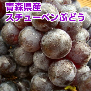 ぶどう 贈答用 フルーツの人気商品 通販 価格比較 価格 Com