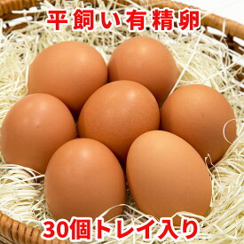 送料無料 平飼い有精卵 30個入り【トレイ入り】 | 青森 お土産 青森県産 県 田子 ギフト お取り寄せ 卵 ご飯のお供 土産 特産品 たまご 東北 食べ物 食品 卵かけご飯 青森県 有精卵 たまごかけごはん おみやげ ホワイトデー お返し