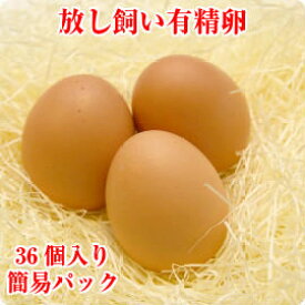 【送料無料】放し飼い有精卵 36個入り・簡易パッケージ【放し飼いたまご】 | 青森 お土産 青森県産 県 田子 ギフト 取り寄せ お取り寄せ 卵 ご飯のお供 特産品 たまご 東北 食べ物 贈り物 食品 卵かけご飯 有精卵 ご当地 おみやげ 生卵 プレゼント 青森県田子町 鶏卵