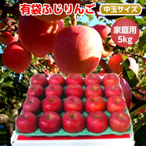 青森県産 りんごの人気商品 通販 価格比較 価格 Com 青森県産 りんごの人気商品 通販 価格比較 価格 Com